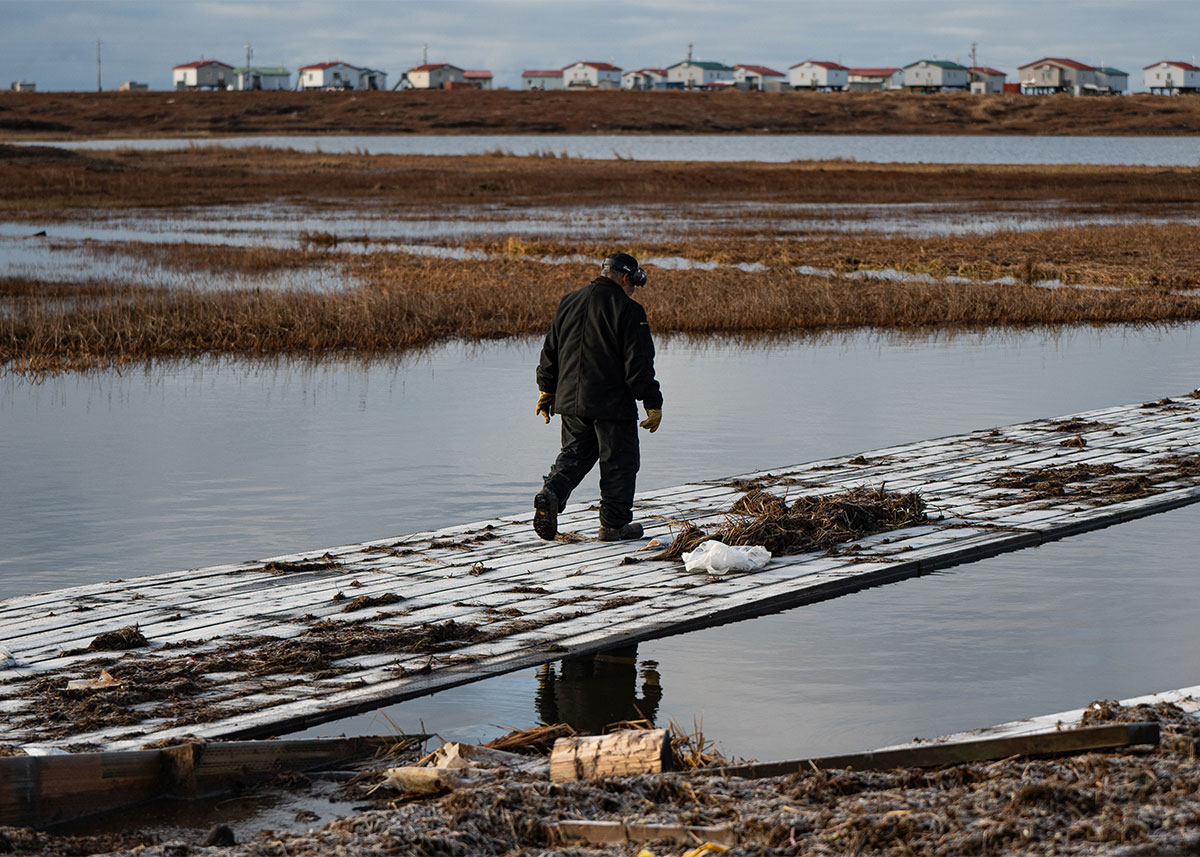 9367717 Representing Arctic Change and Environmental Security Through a One Health Lens